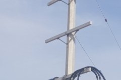 36